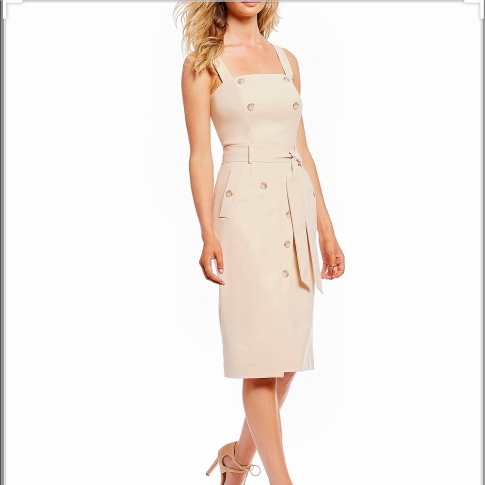 NWT Unique Antonio Melani Chris Dress